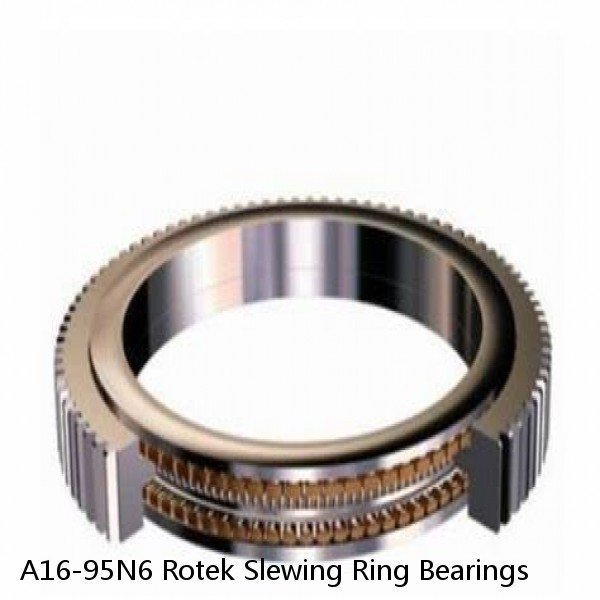 A16-95N6 Rotek Slewing Ring Bearings