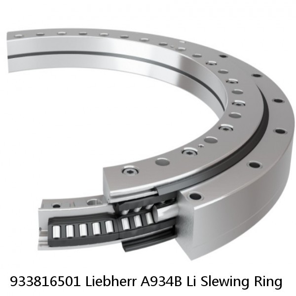 933816501 Liebherr A934B Li Slewing Ring