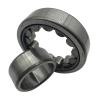 0.984 Inch | 25 Millimeter x 2.441 Inch | 62 Millimeter x 0.945 Inch | 24 Millimeter  CONSOLIDATED BEARING NU-2305  Cylindrical Roller Bearings