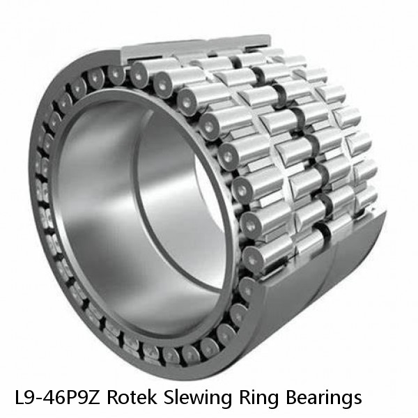 L9-46P9Z Rotek Slewing Ring Bearings #1 small image