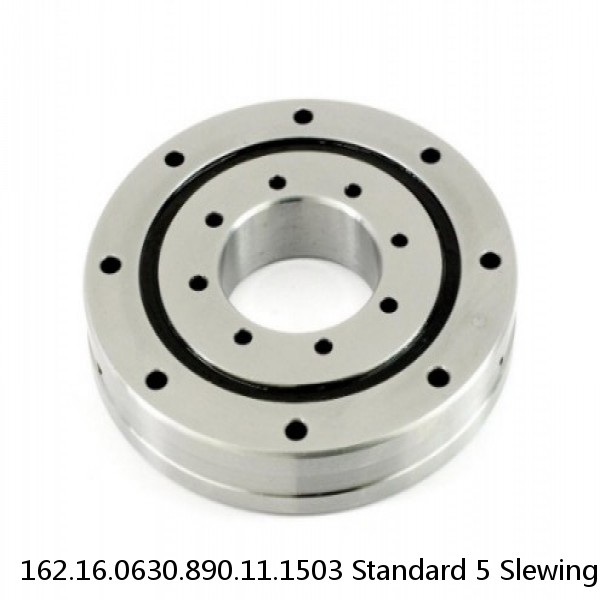 162.16.0630.890.11.1503 Standard 5 Slewing Ring Bearings #1 small image