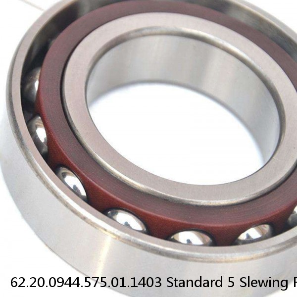 62.20.0944.575.01.1403 Standard 5 Slewing Ring Bearings #1 small image