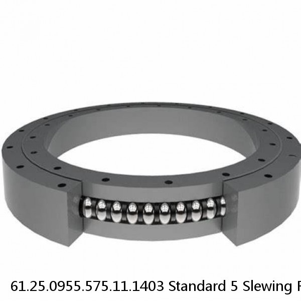 61.25.0955.575.11.1403 Standard 5 Slewing Ring Bearings #1 small image