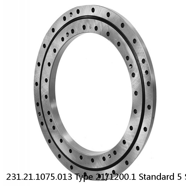 231.21.1075.013 Type 21/1200.1 Standard 5 Slewing Ring Bearings #1 small image