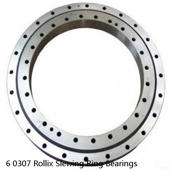 6 0307 Rollix Slewing Ring Bearings #1 small image