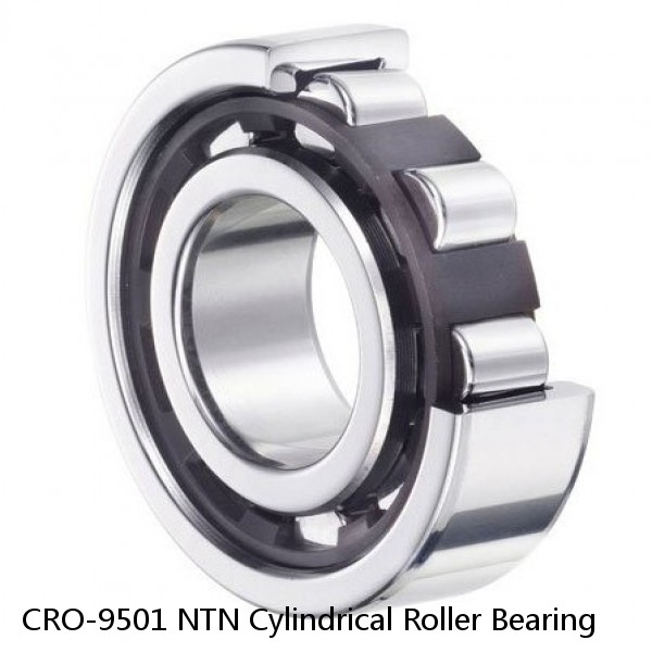 CRO-9501 NTN Cylindrical Roller Bearing #1 small image