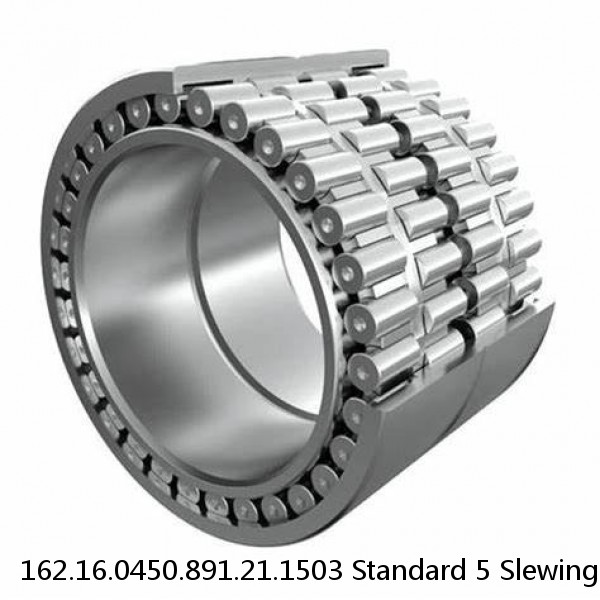 162.16.0450.891.21.1503 Standard 5 Slewing Ring Bearings #1 image