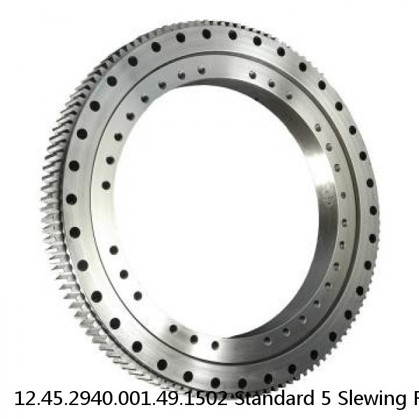 12.45.2940.001.49.1502 Standard 5 Slewing Ring Bearings #1 image