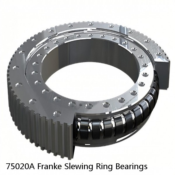 75020A Franke Slewing Ring Bearings #1 image