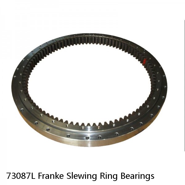 73087L Franke Slewing Ring Bearings #1 image